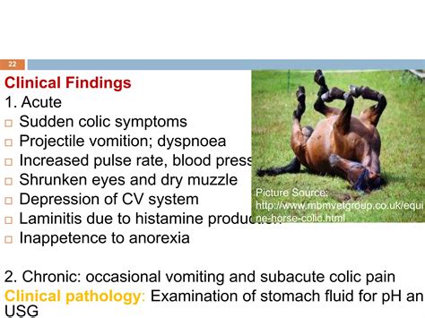 Colic in horses | PPTX