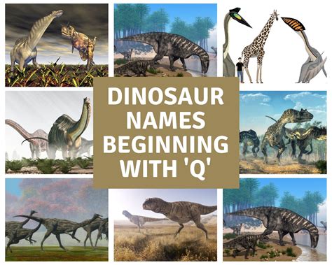 Dinosaur Names Beginning With Q - Dinosaur Facts For Kids