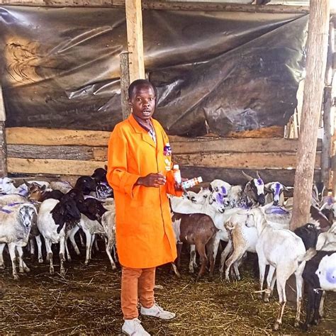 Dairy Goat Farming 的图像结果