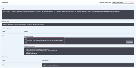 Image result for API Connection through Session ID