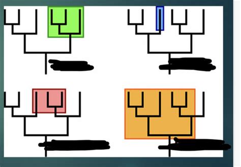 Image result for Classification by Color Code in Evolution