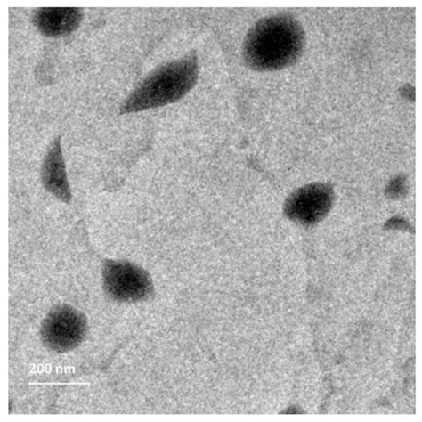 Surface-Modified Bilosomes Nanogel Bearing a Natural Plant Alkaloid for ...