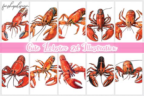 Types Of Lobsters