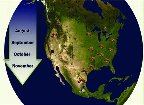 Image result for Norhtern Relocations Map