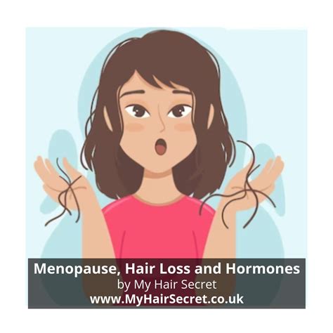Menopause, Hair Loss, and Hormones – My Hair Secret