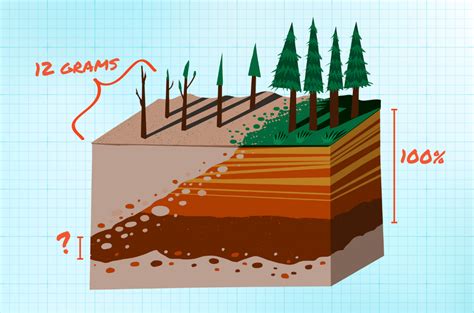 Soil Layers Science Project 的图像结果