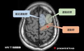 Image result for Intersect in SQL Syntax