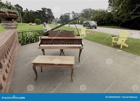 JFK Promenade Golden Mile Golden Gate Park 16 Editorial Stock Photo - Image of meant, hammond ...