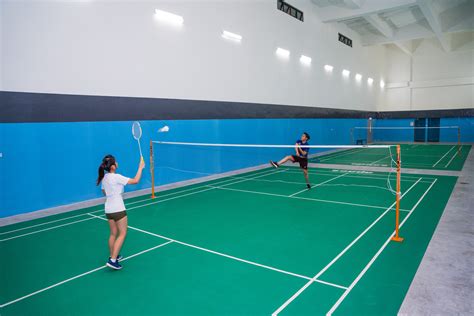 Badminton Court 的图像结果