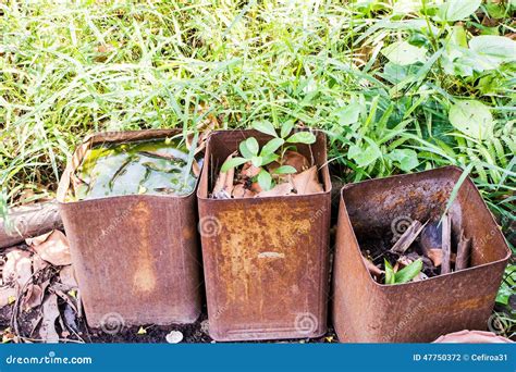 Rust bucket stock photo. Image of life, rust, bucket - 47750372