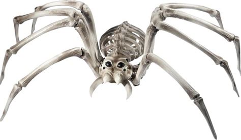 Buy Smiffys Men's Spider Skeleton Prop at Ubuy India