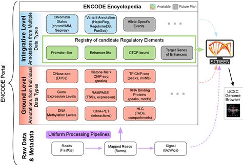 Image result for Encode