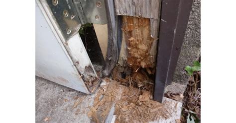 How to Fix Common Wooden Door Issues at Home