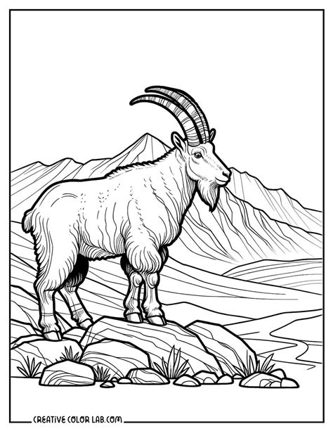 Printable Goat Coloring Pages | Free PDF Downloads