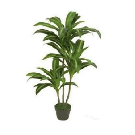 Small Artificial Tree Manufacturers in Vasant Vihar
