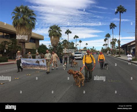 2017 Palm Springs Pride Parade Stock Photo - Alamy