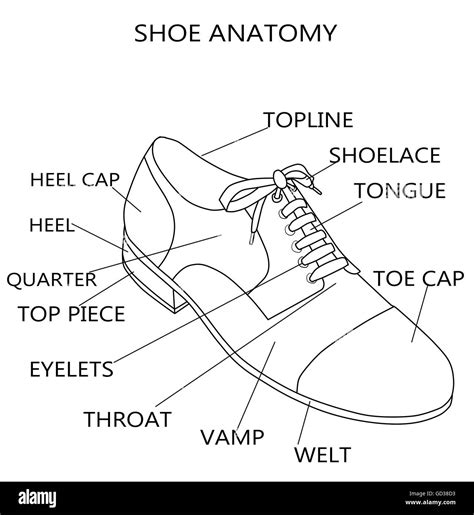 Technical illustration shoes sectional hi-res stock photography and images - Alamy