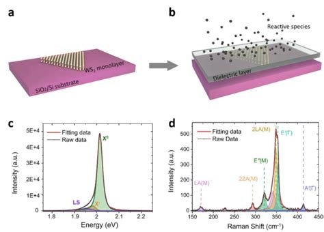 SiO2 Substrate 的图像结果