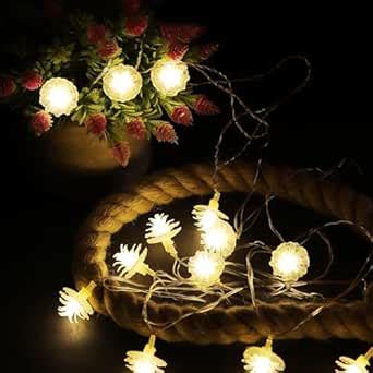 Buy Lexton Fairy 14 Flower LED String Light | 14 LED, Plug Sourced, 4 ...
