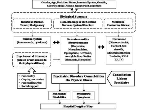 Biological Stress Examples 的图像结果