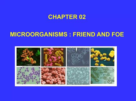 Image result for Class 8 Science Chapter 2