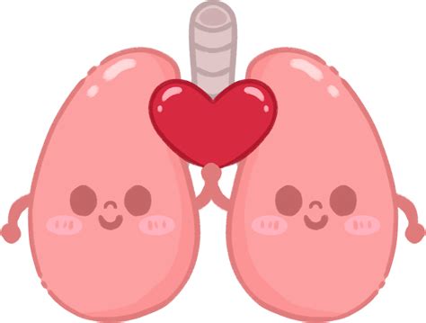 Happy Lung Character with Heart Illustration 44609881 PNG