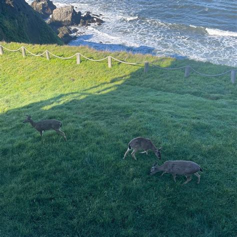SPYGLASS INN AT SHELTER COVE - B&B Reviews & Photos - Tripadvisor