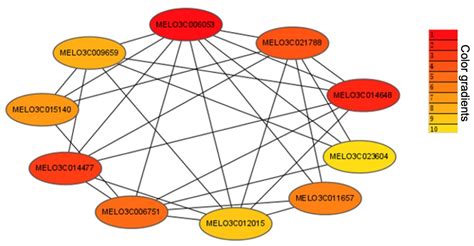 Comparative Transcriptome Analysis Identified Key Pathways and Genes ...