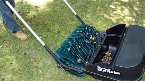 Image result for Cyclone Rake Kill Switch