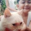`Answer the following questions in complete sentences 1.Has he finished ...