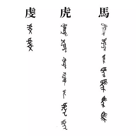 从汉字起源理解现代社会