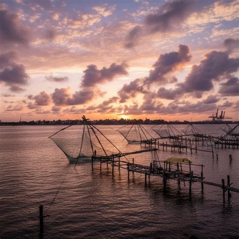 Kerala Tour Packages & Holiday Deals | Travel Coffee