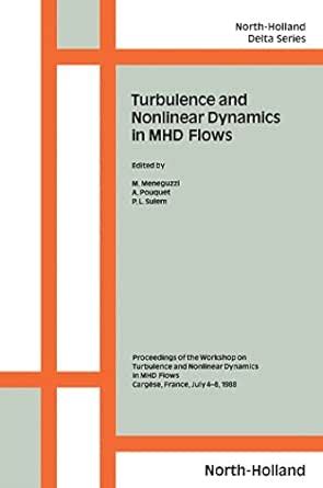 Turbulence and Nonlinear Dynamics in MHD Flows: Workshop Proceedings ...