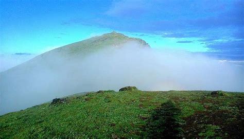 Resorts Near Mullayanagiri Lets You Experience Tranquility Amid Nature