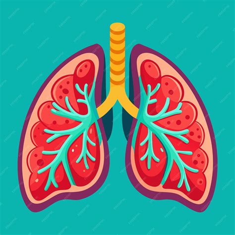 Premium Vector | Lungs clipart cartoon style vector illustration