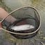 Garvee Fly Fishing Net Trout Net Soft Mesh Fishing Net Fish Landing Net ...