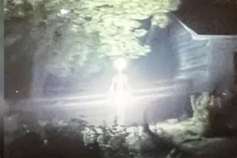 Alien Presence 的图像结果