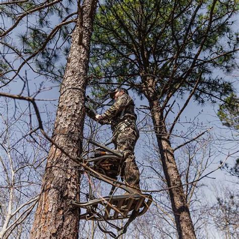 Image result for Using Summit Climbing Tree Stand