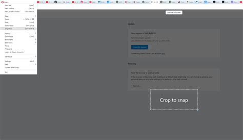 Image result for Windows 7 Opera Download