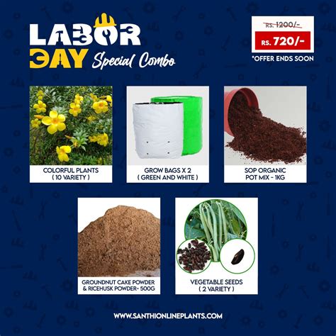 Happy workers day combo – Make your home colorful by plants – Santhi ...
