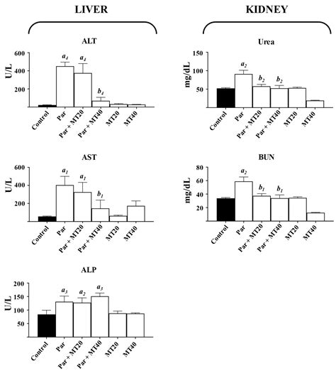Dose- and Organ-Specific Dual Effects of MitoTempo in Paracetamol ...