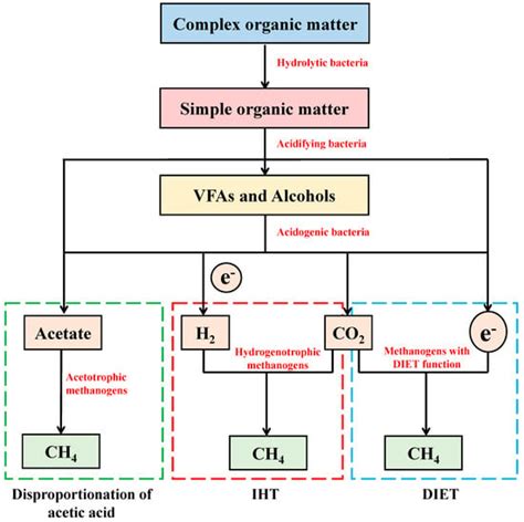 Enhanced Anaerobic Digestion Using Conductive Materials through ...