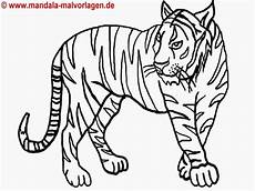 ausmalbilder tiere nordamerika frisch ausmalbilder tiere gro 223 animal ausmalbilder tiere nordamerika frisch ausmalbilder tiere gro 223 animal