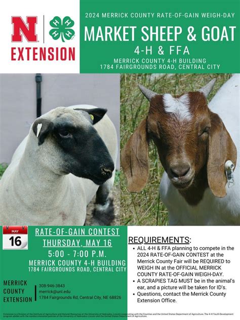 Market Sheep & Goat Rate-of-Gain Weigh-Day, Merrick County 4-H,Nebraska ...
