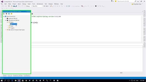SQLite Visual Studio 的图像结果
