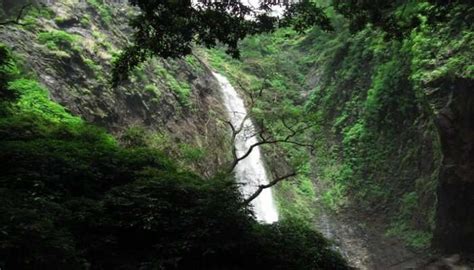 11 Mesmerising Waterfalls In Shimoga To Visit In 2026!