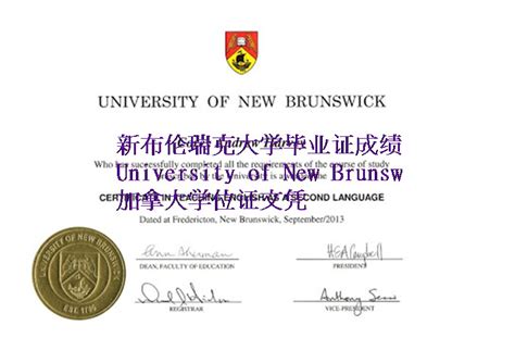 留学未毕业购买(南十字星大学学位证毕业证)代办文凭 | PPT