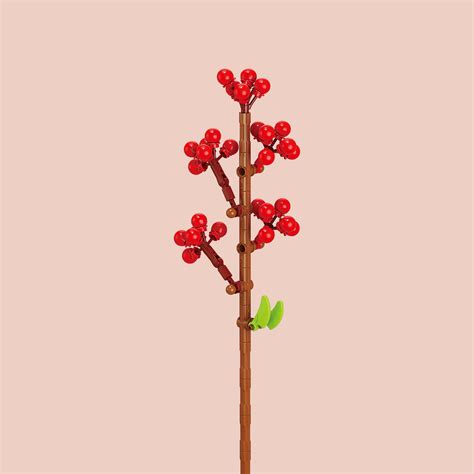 Crimson Holly – Setsugo
