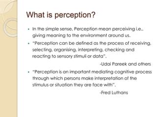 Perception Explained 的图像结果