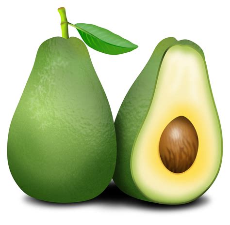 Avocado Fruit Free Stock Photo - Public Domain Pictures